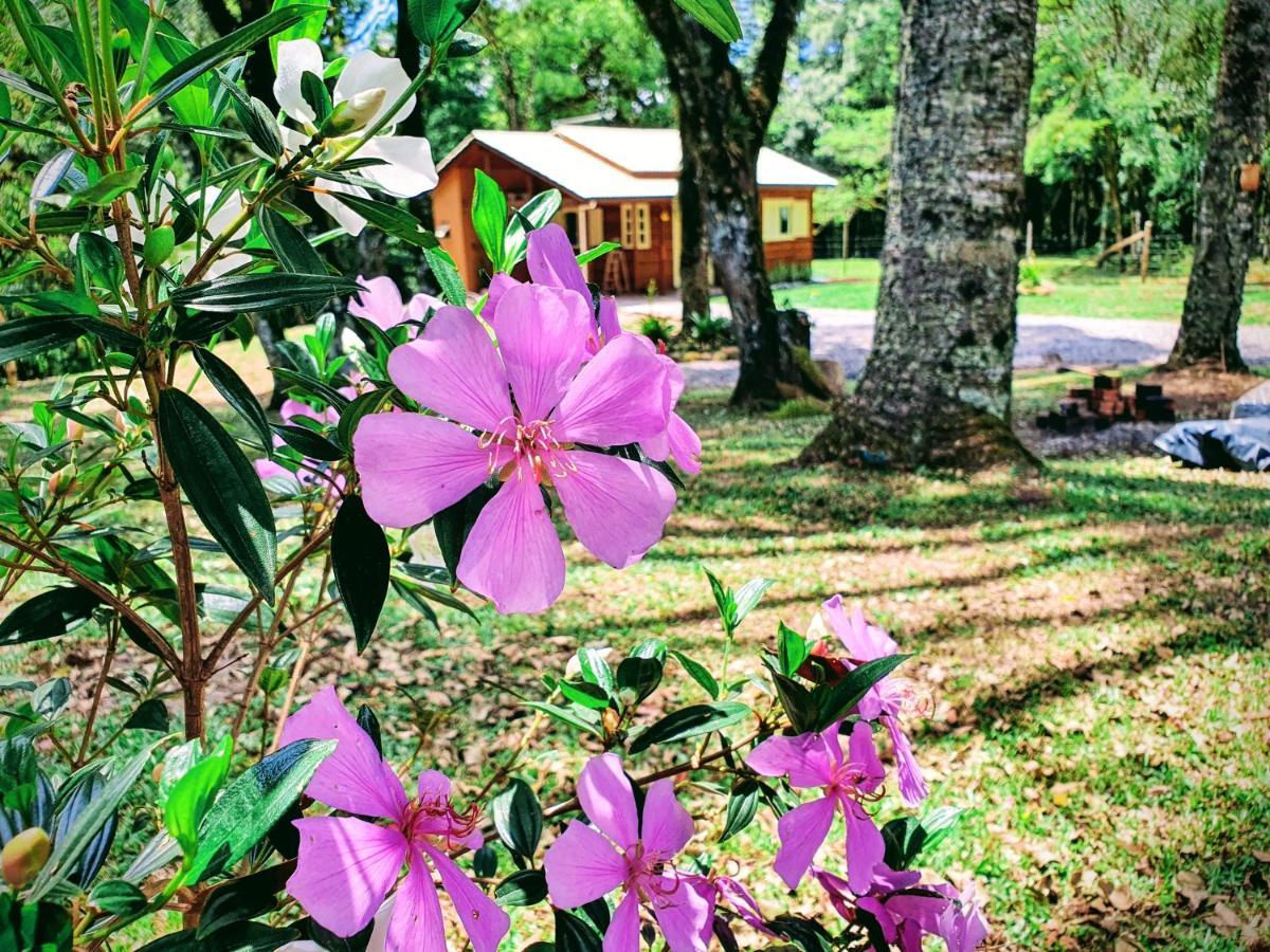 Sitio Recanto Feliz กรามาโด ภายนอก รูปภาพ