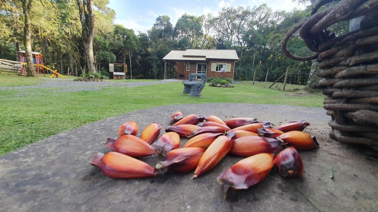 Sitio Recanto Feliz กรามาโด ภายนอก รูปภาพ